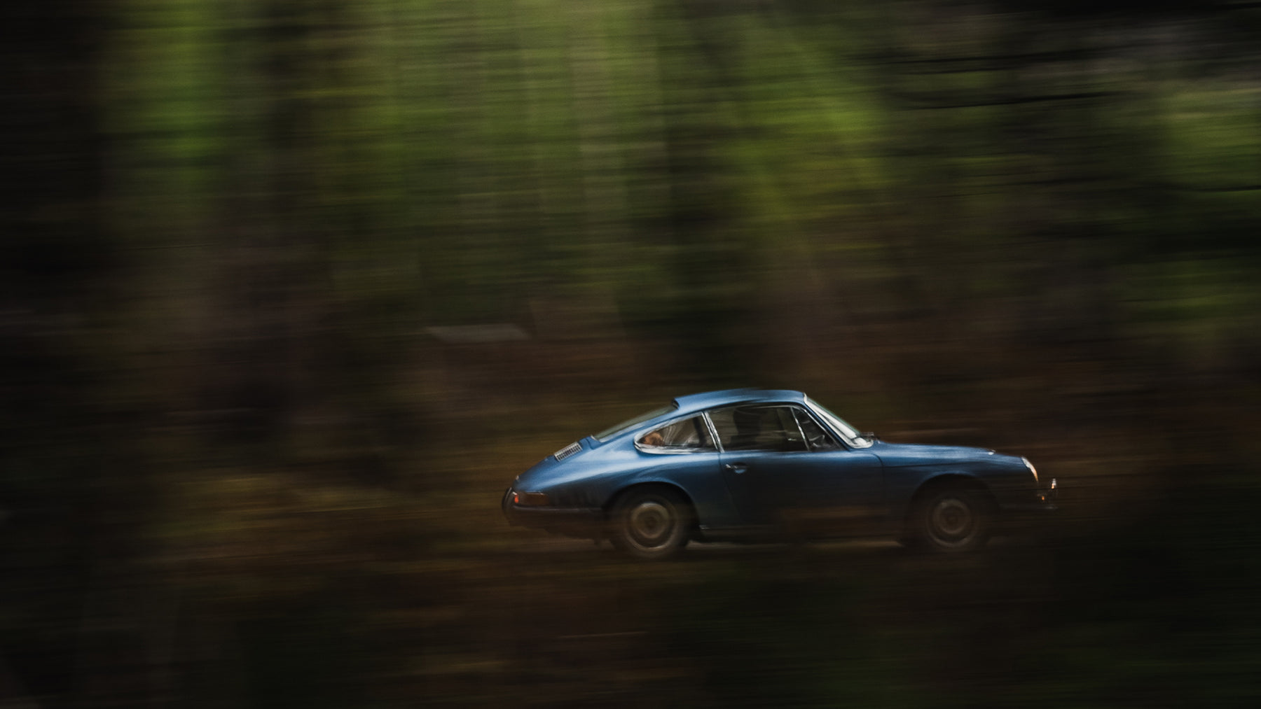 Into the Wild second image