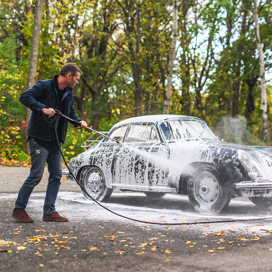 Gold Dust Barnfind image text 1 image