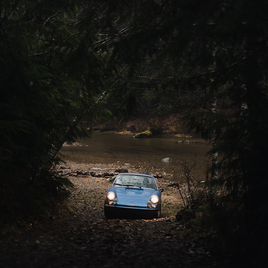 Into the Wild image text 1 image