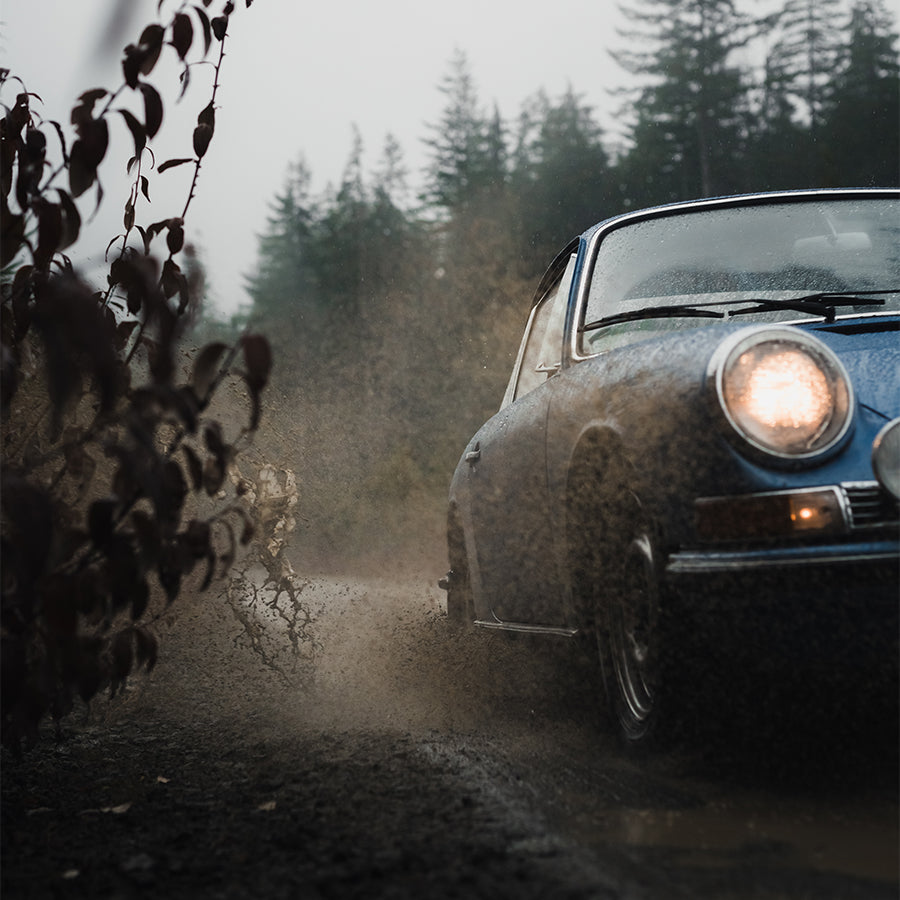 Into the Wild image text 2 image