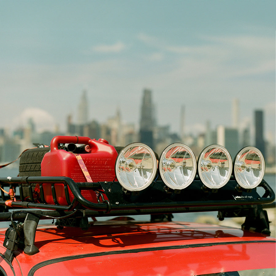 City Safari image text 2 image