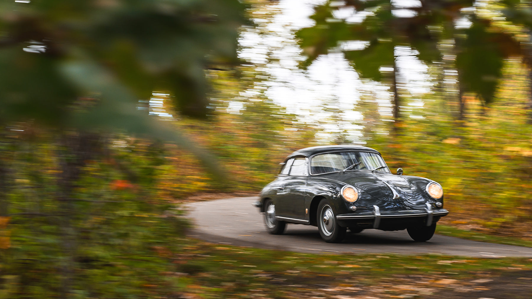 Gold Dust Barnfind fifth image