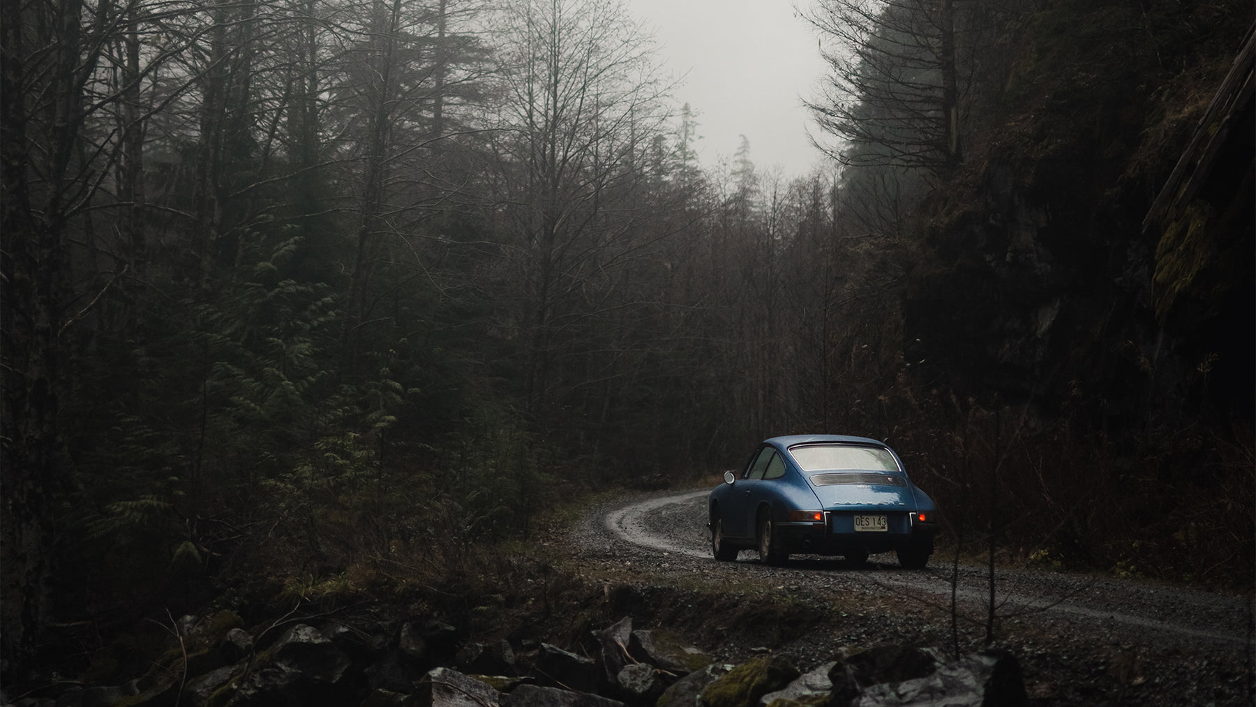 Into the Wild fifth image