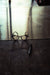 files/BL6I8397.webp