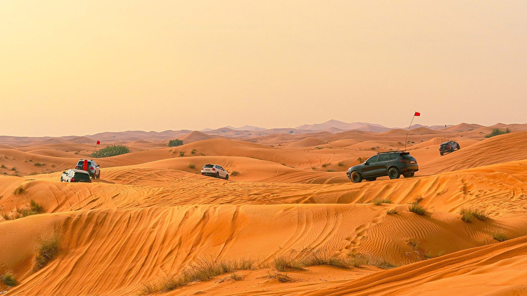 Desert Power