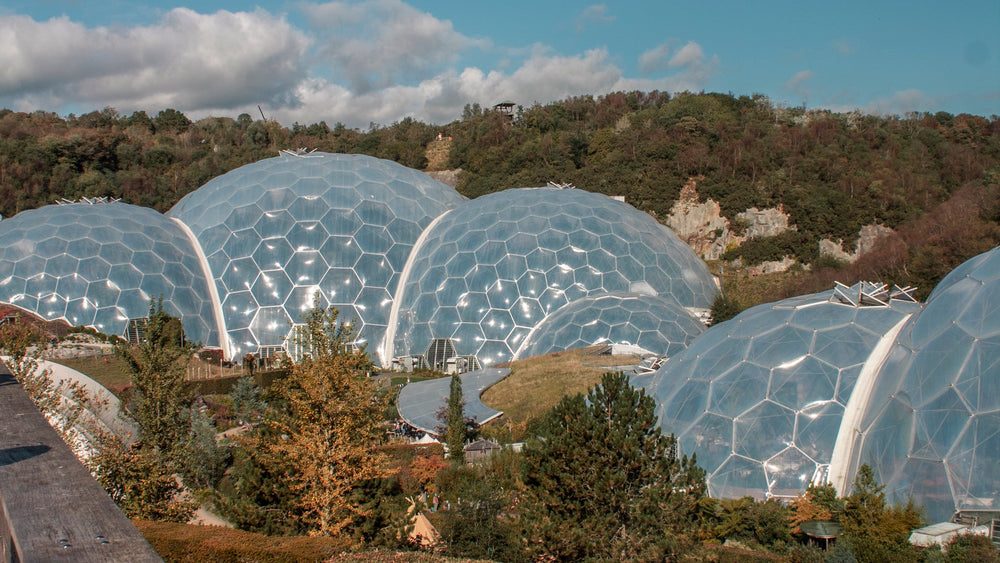The World's Only Indoor Rainforest
