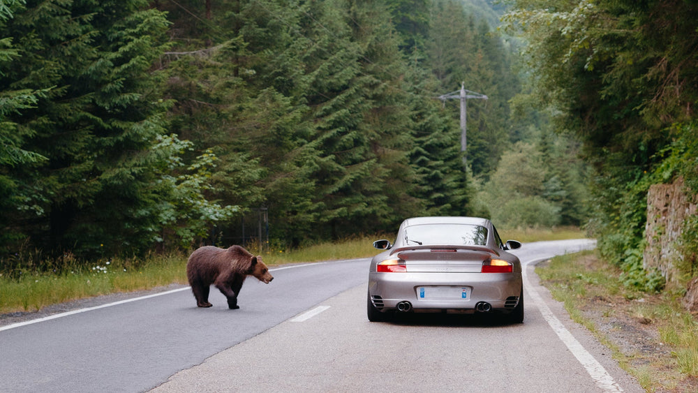 Autobahn and Beyond