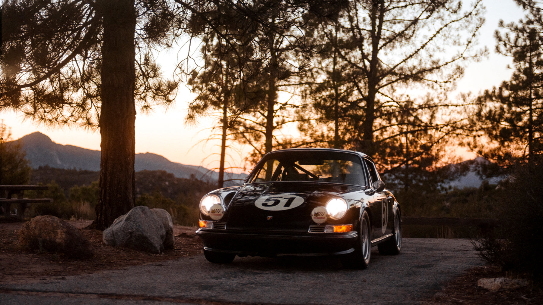 Roadrunner second image