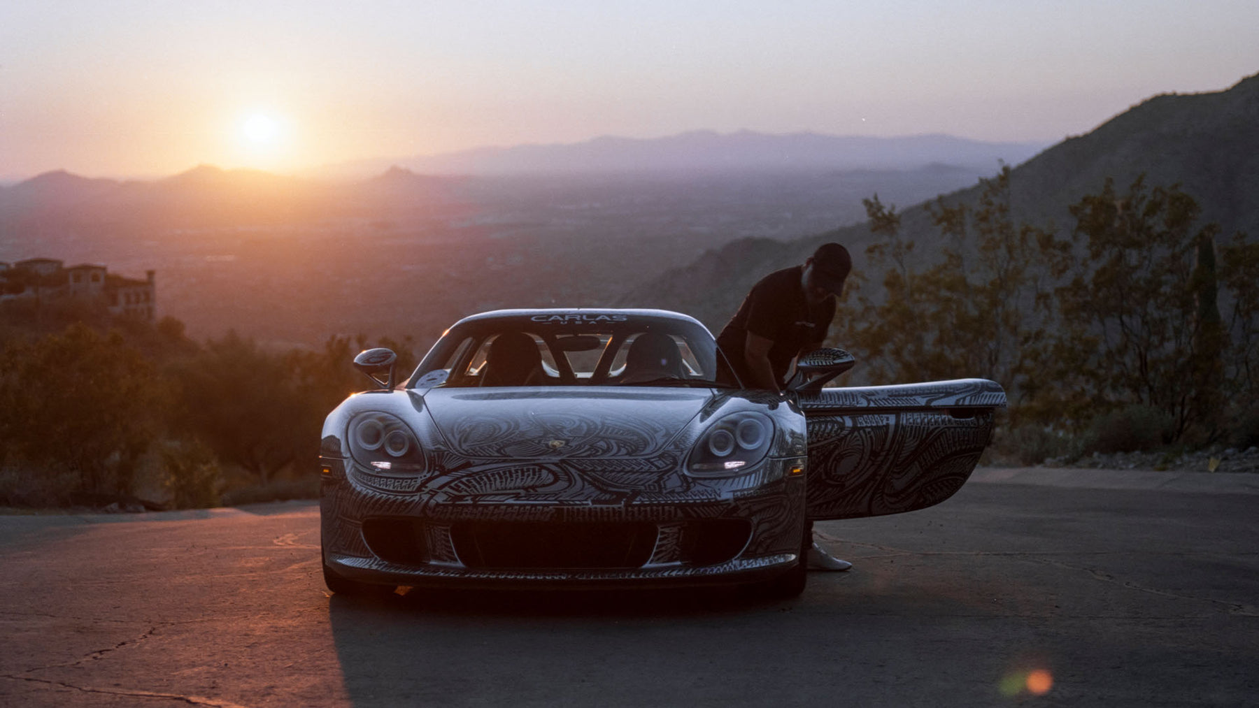 Painted Unicorn second image