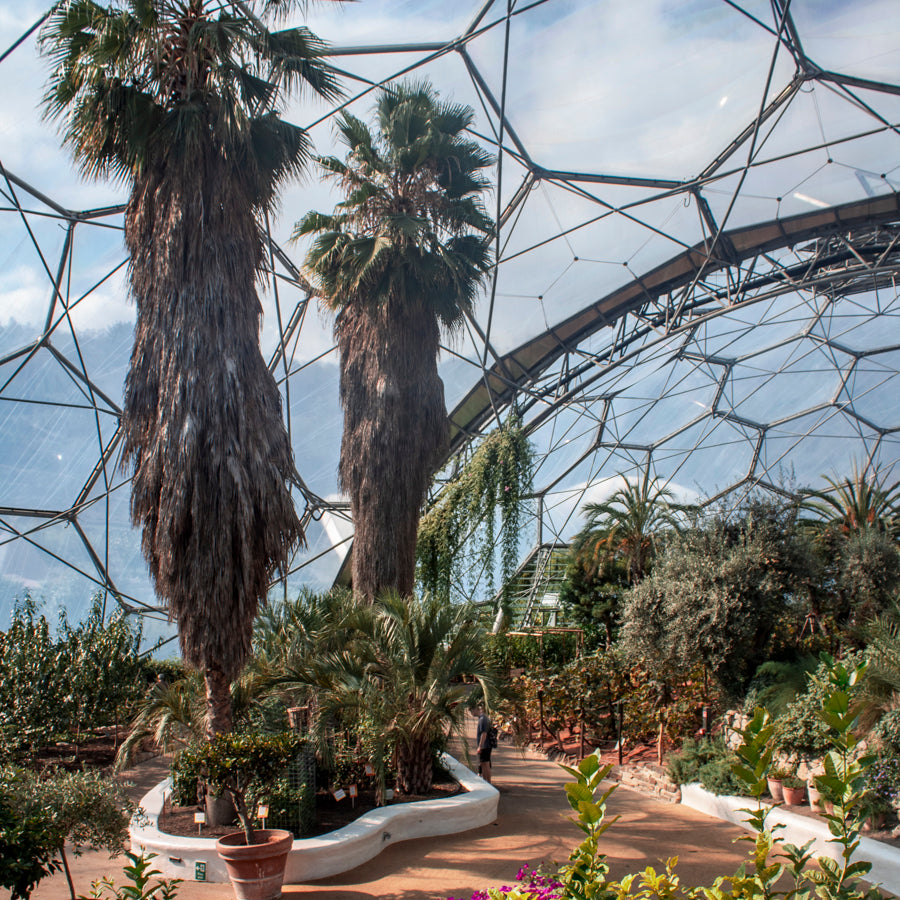 The World's Only Indoor Rainforest image text 1 image