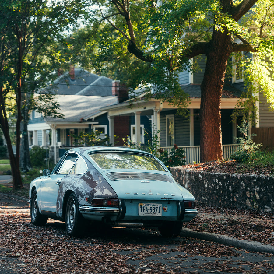 Survivor image text 1 image