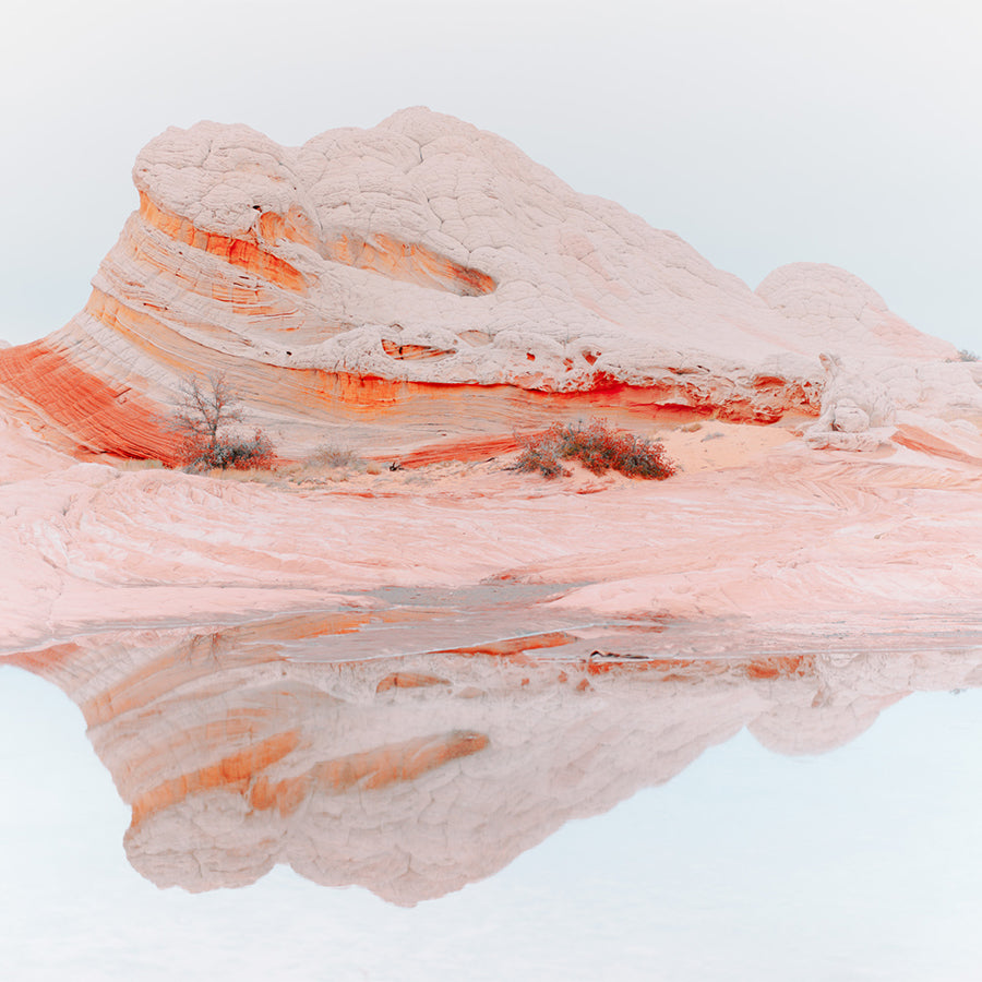 Strange Land image text 1 image