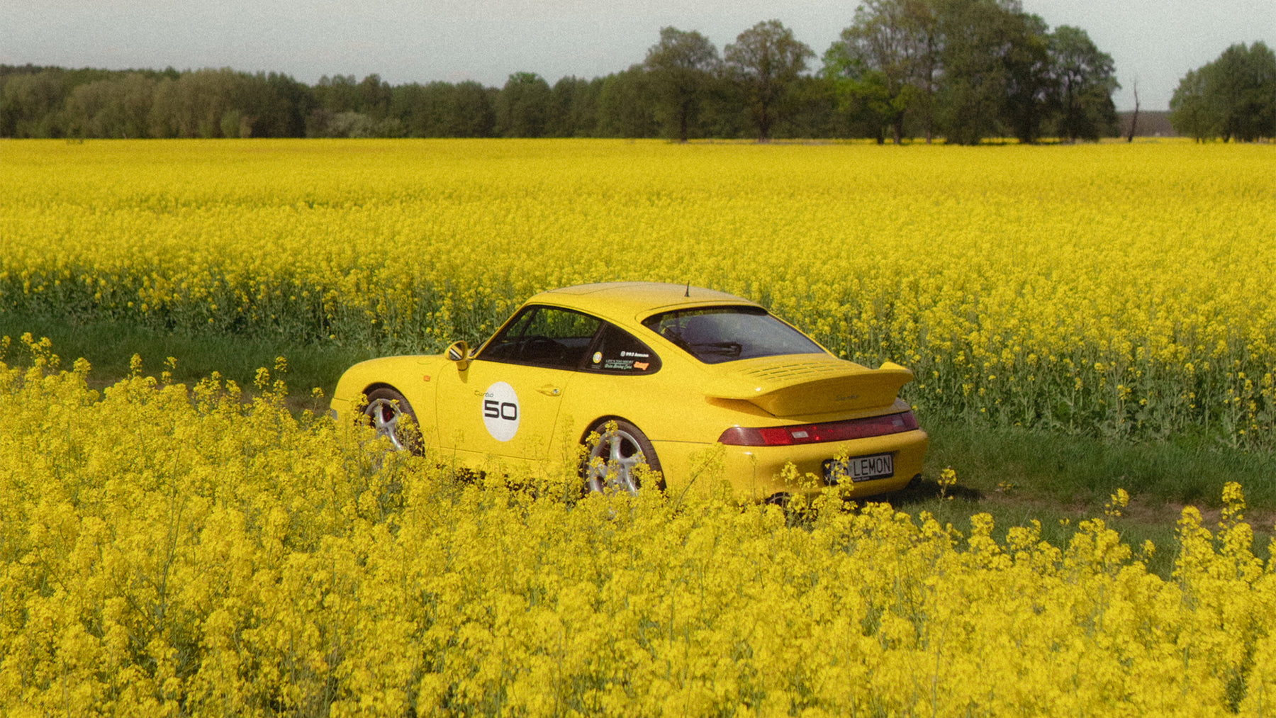 Family Affair fifth image