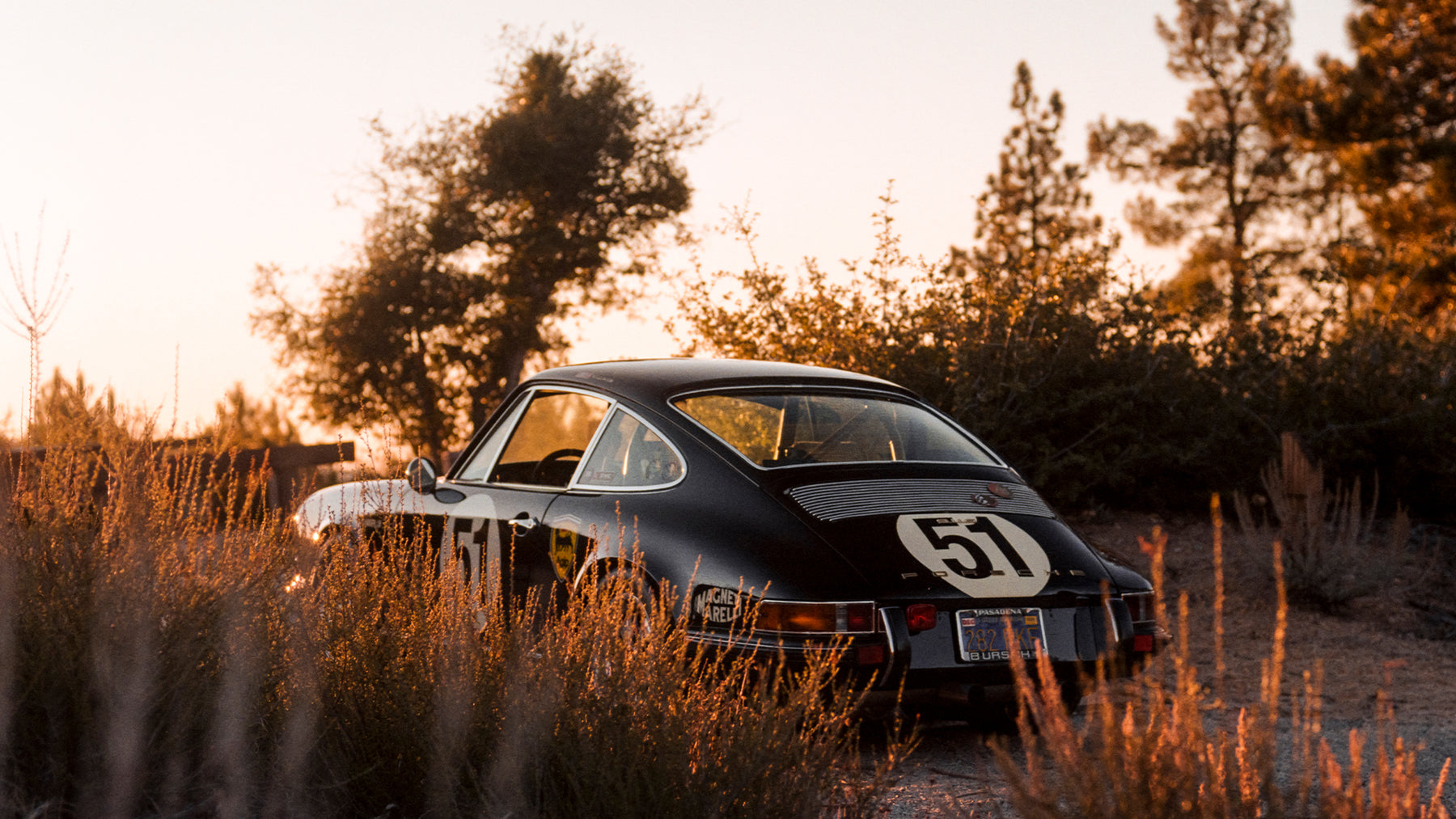 Roadrunner fifth image