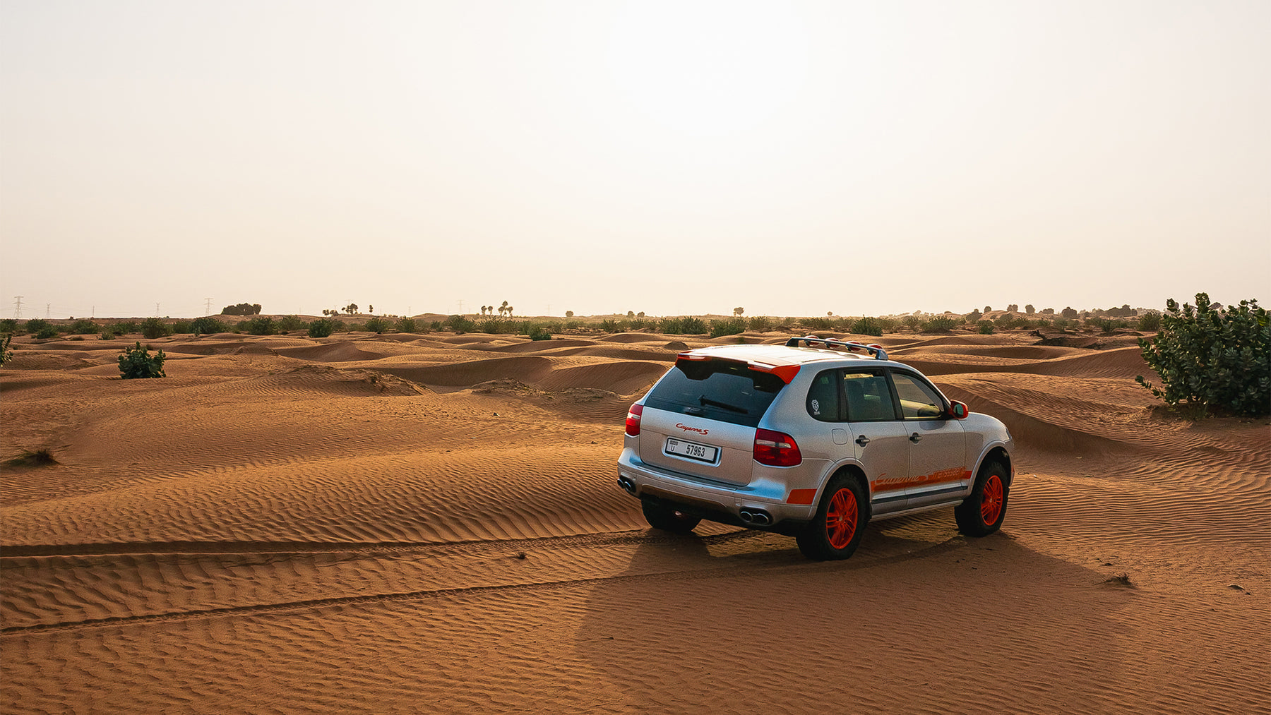 The Dakar's Lost Ancestor fifth image
